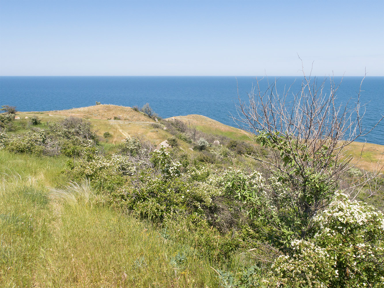 Мыс Орёл, image of landscape/habitat.