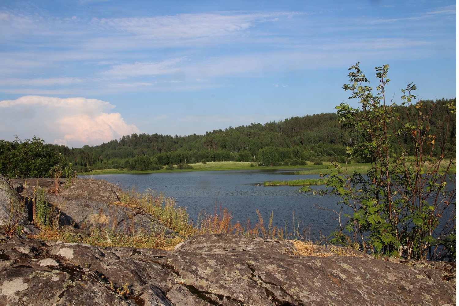 Импилахти, image of landscape/habitat.