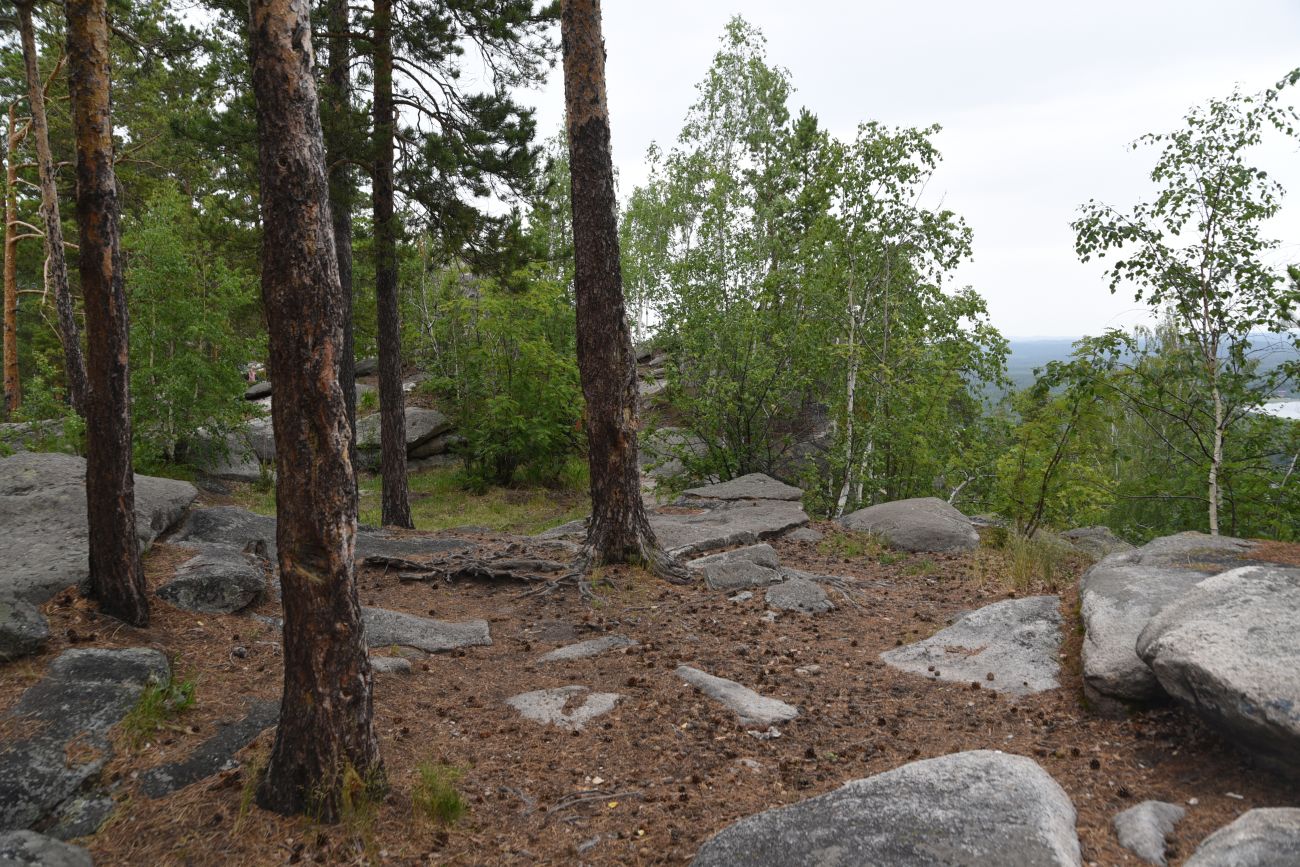 Гора Аракуль, image of landscape/habitat.