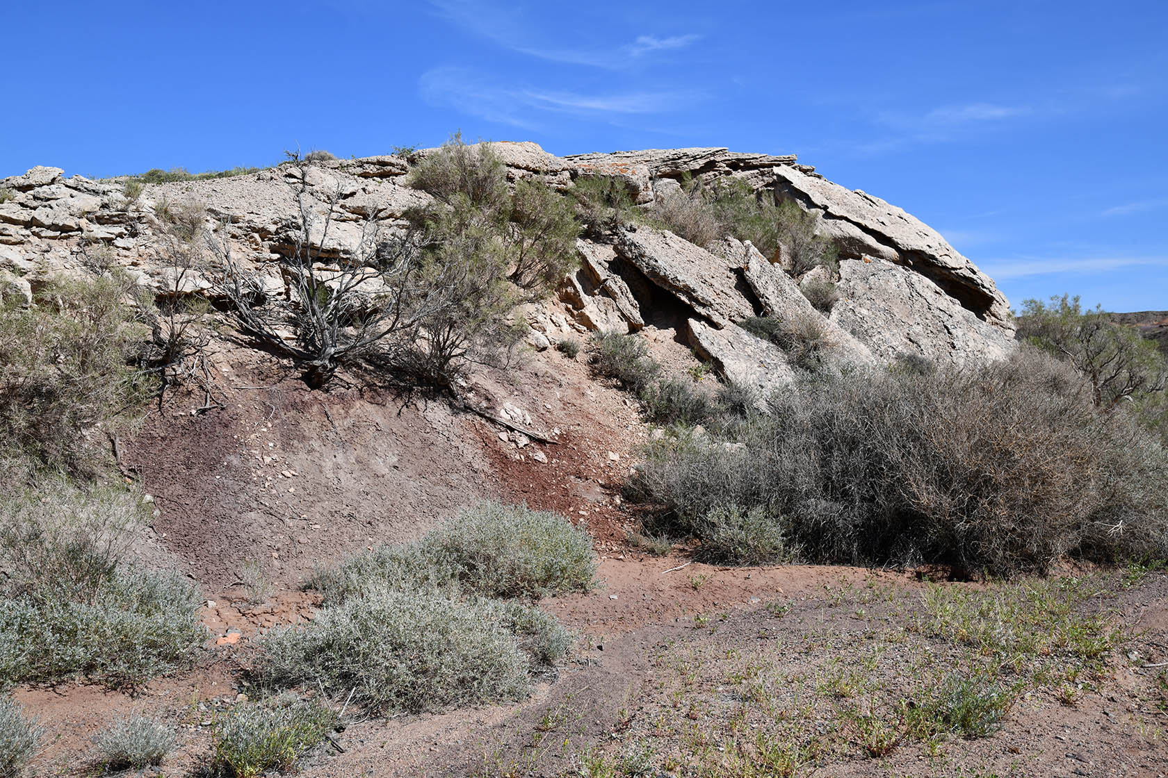 Горы Улькен-Богуты, image of landscape/habitat.