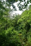 Окрестности деревни Баглик, image of landscape/habitat.