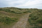 Image of landscape
