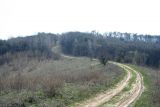 Трахтемиров, image of landscape/habitat.