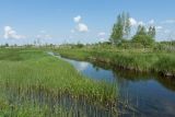 Верховья Оредежа, image of landscape/habitat.