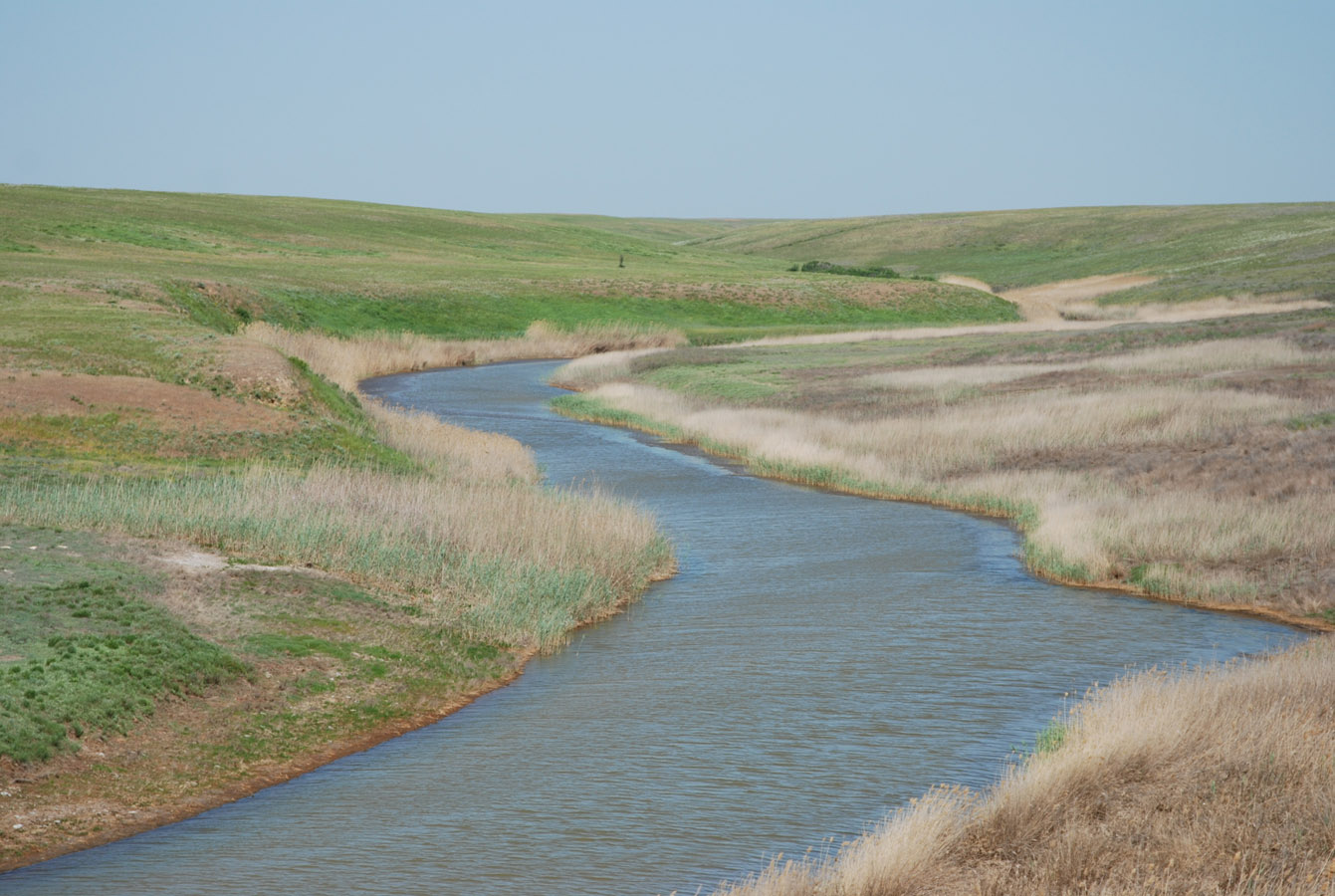 Побережье озера Эльтон, image of landscape/habitat.