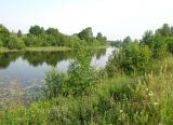 Image of landscape