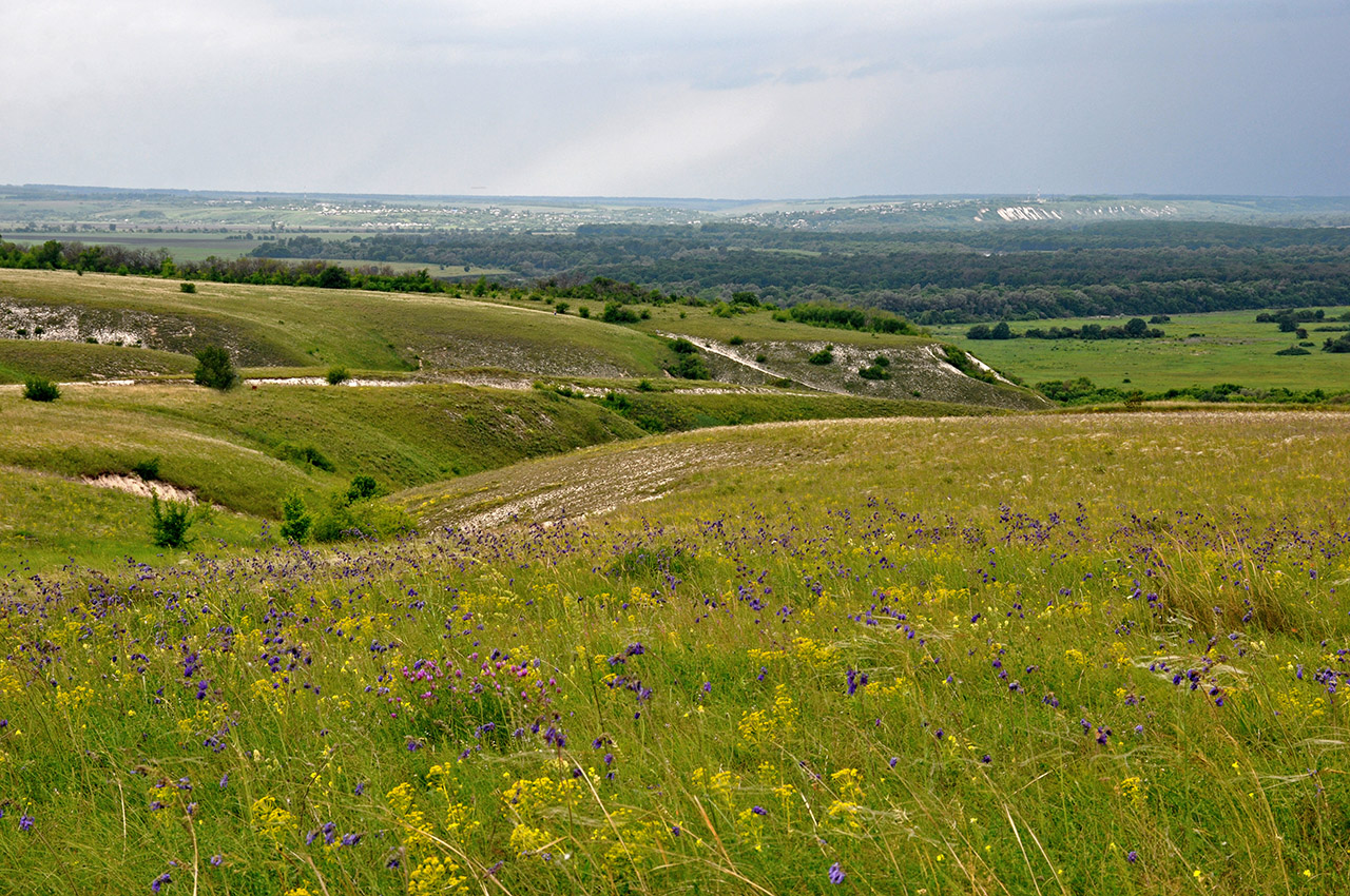 Дивногорье, image of landscape/habitat.