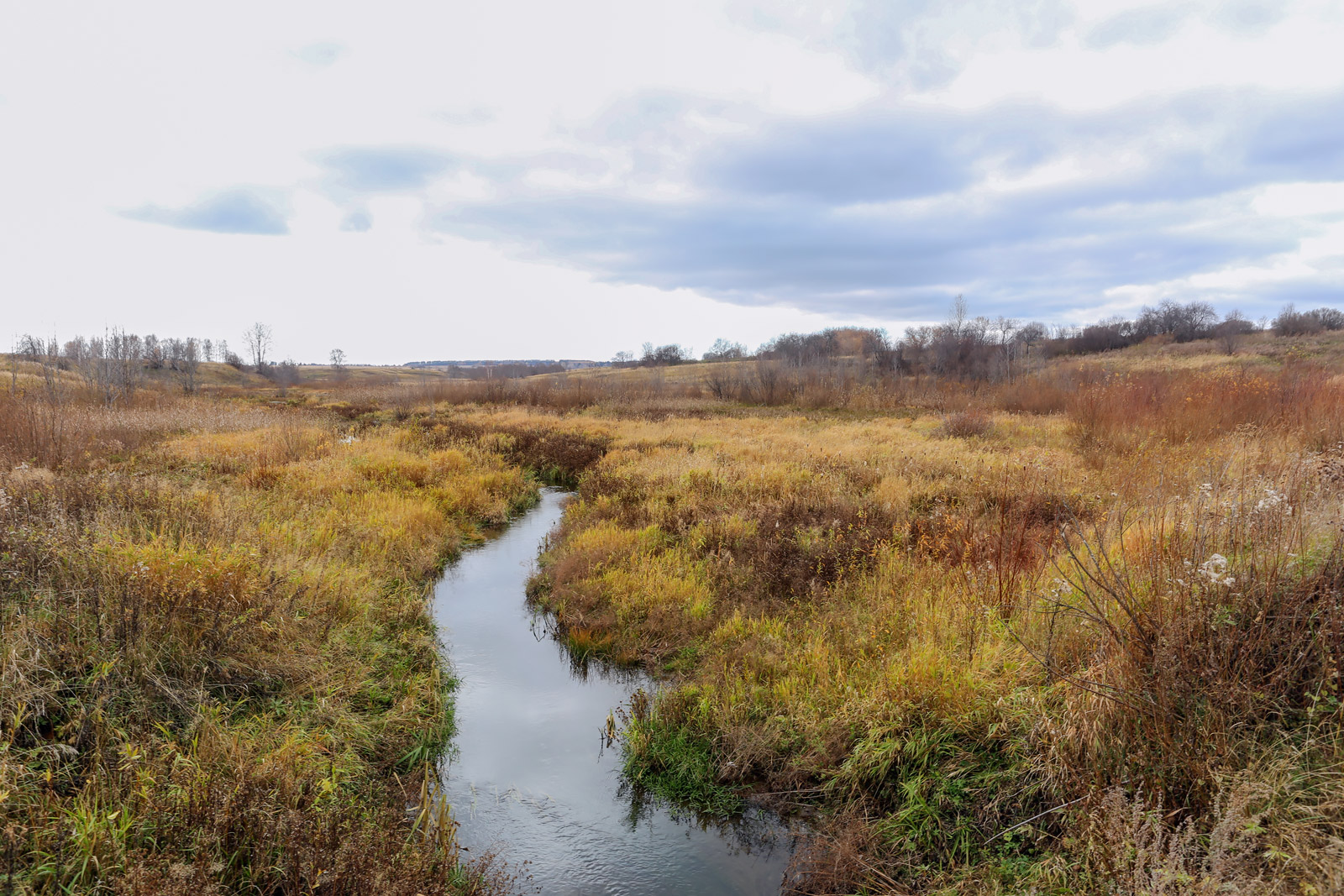 Окрестности села Красный Бор, image of landscape/habitat.