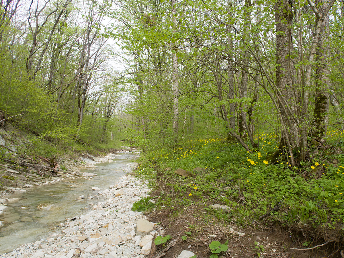 Глубокий Яр, image of landscape/habitat.