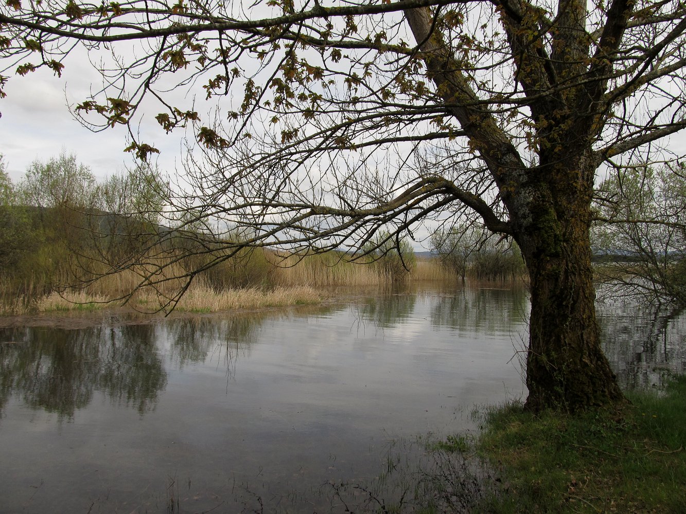 Водохранилище на реке Садорра, image of landscape/habitat.