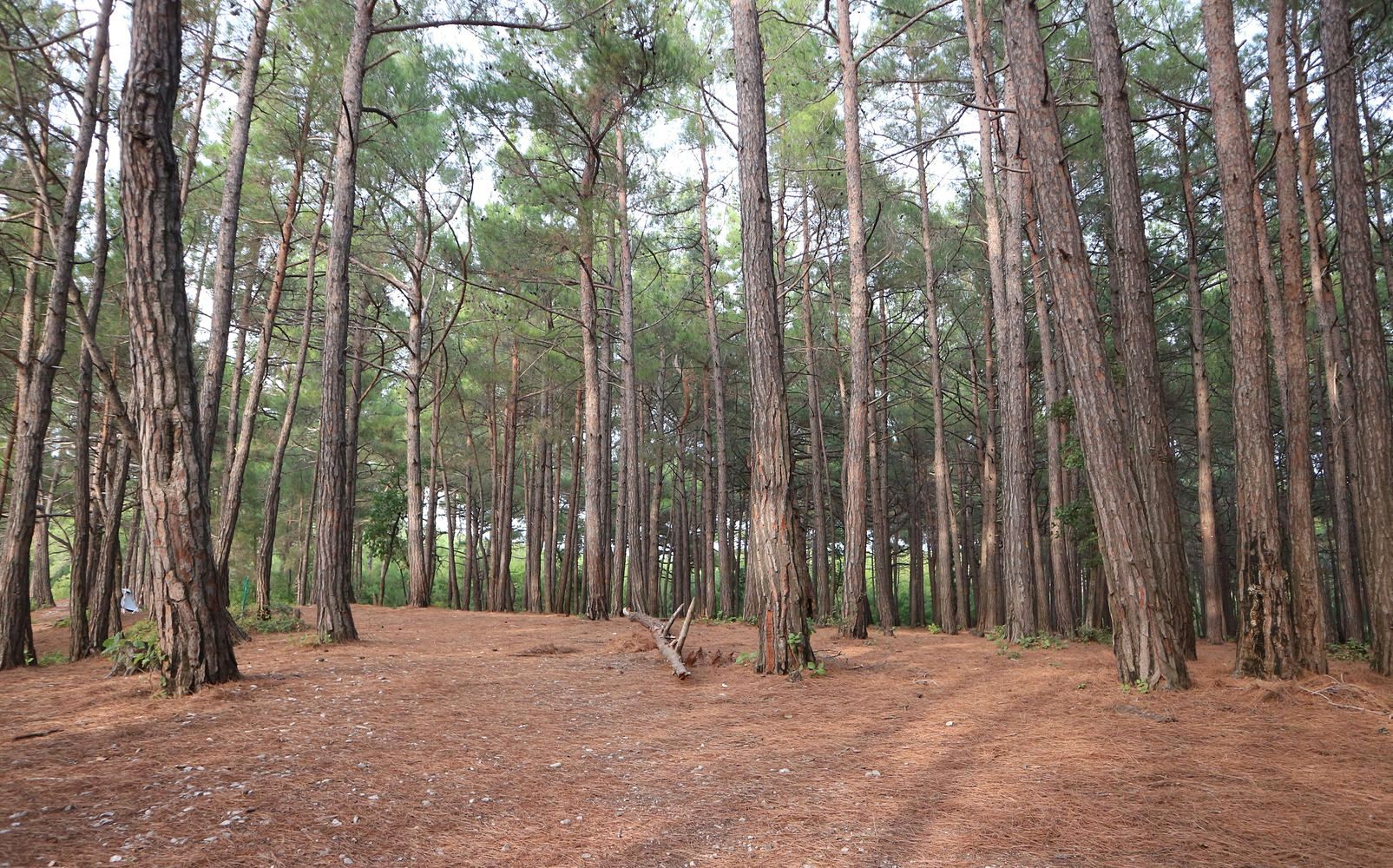 Голубая Бездна, image of landscape/habitat.