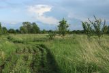 Image of landscape