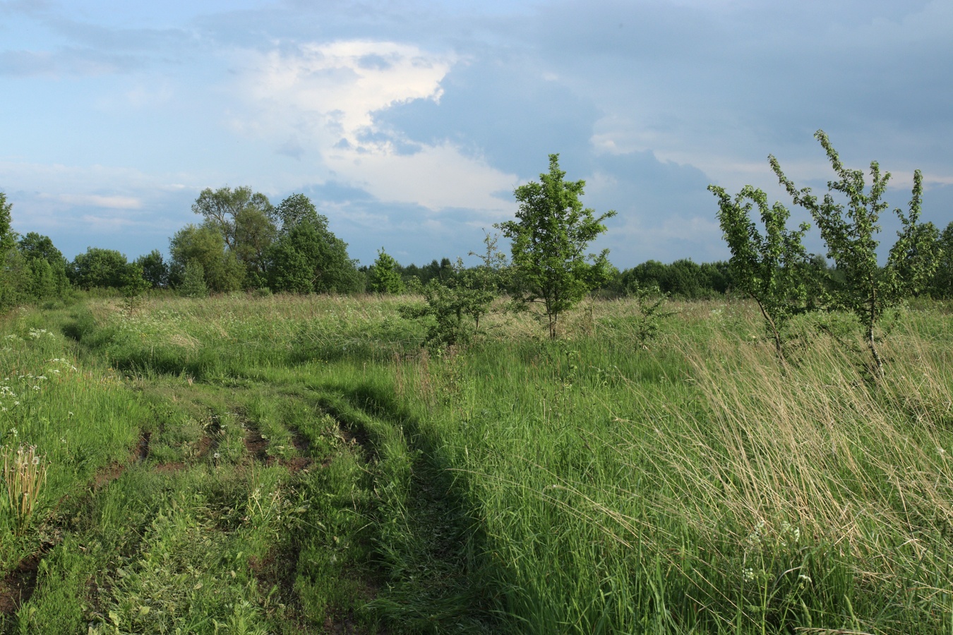 Езерище и окрестности, image of landscape/habitat.