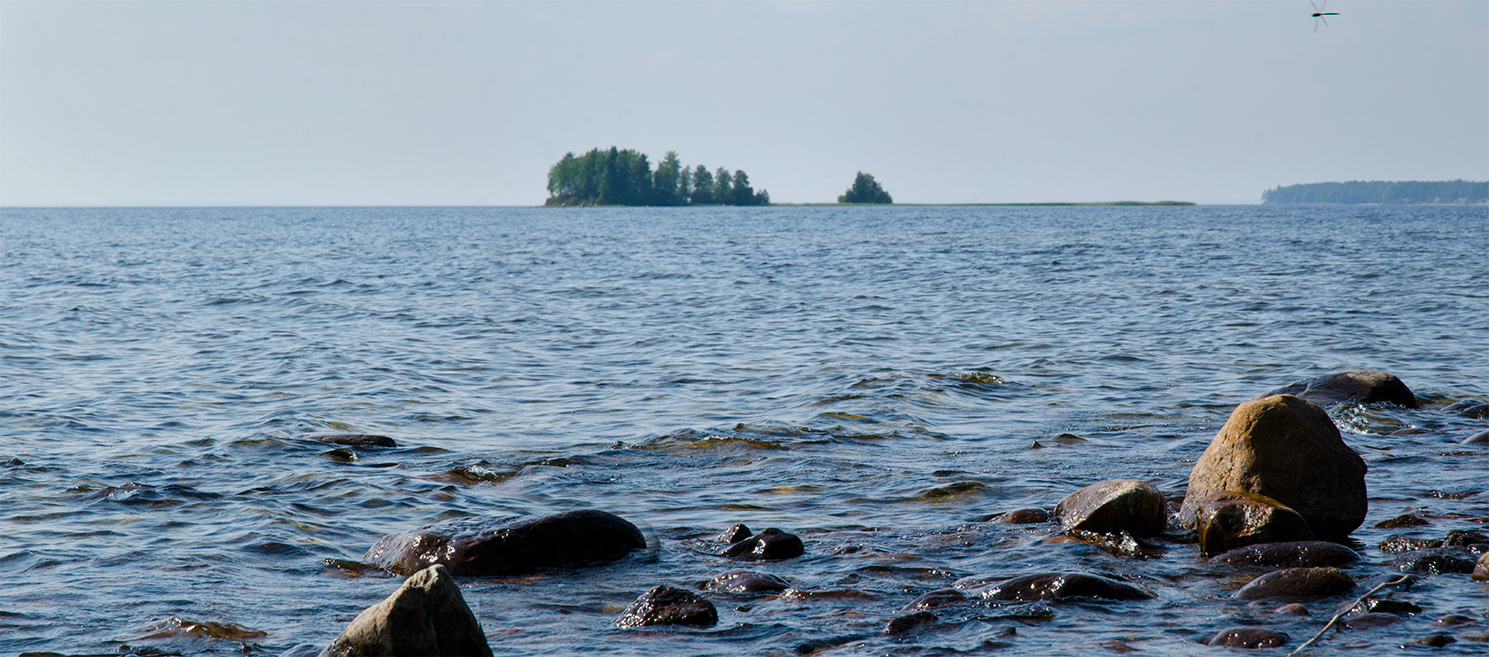 Пигматка, image of landscape/habitat.