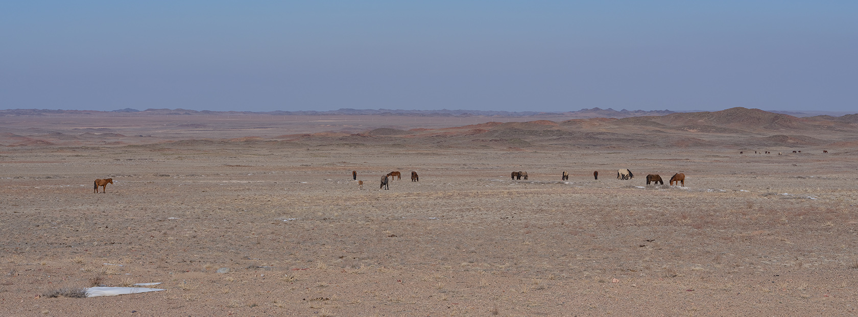 Сюгатинская долина, image of landscape/habitat.