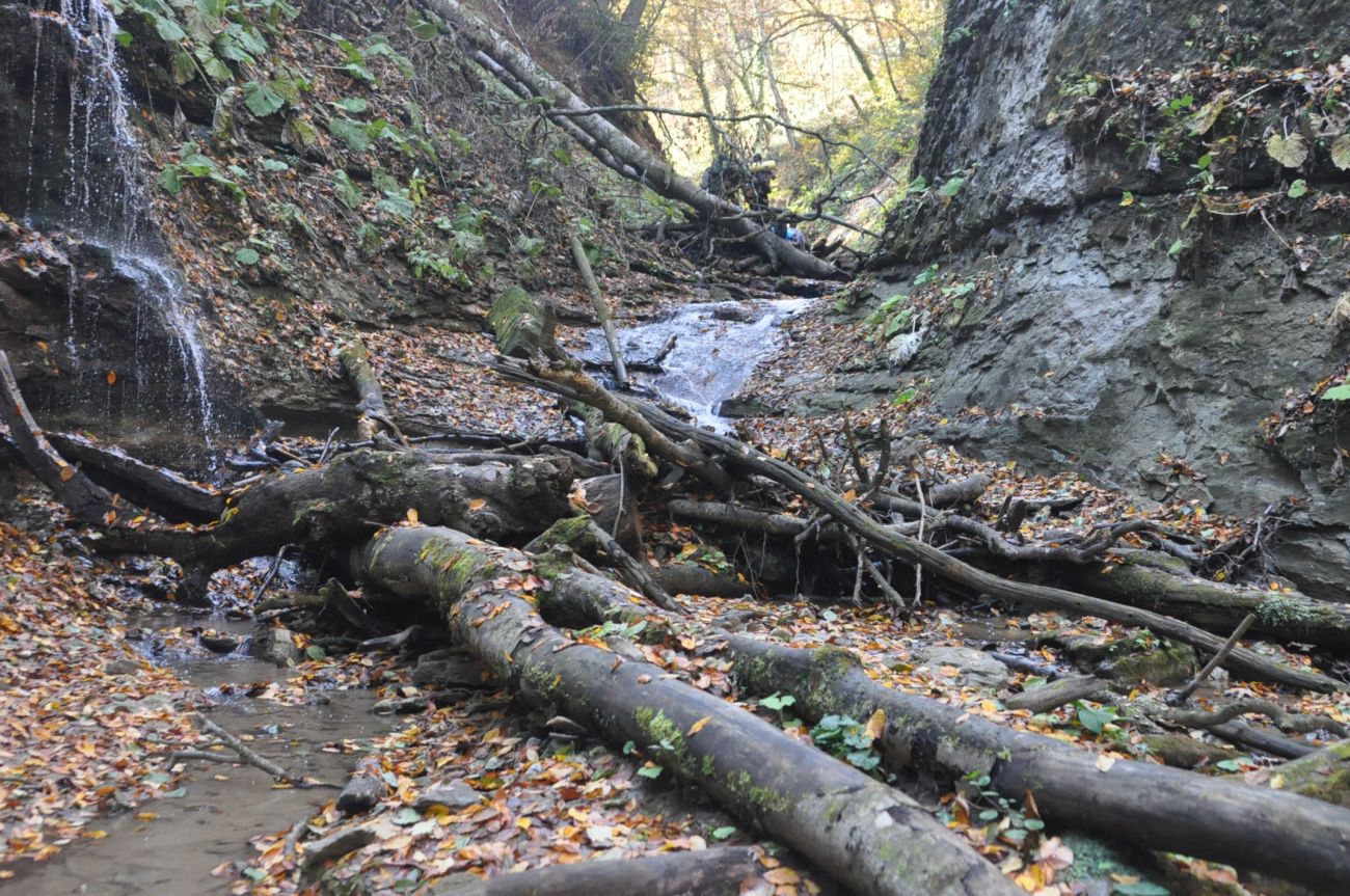 Два Водопада и окрестности, image of landscape/habitat.