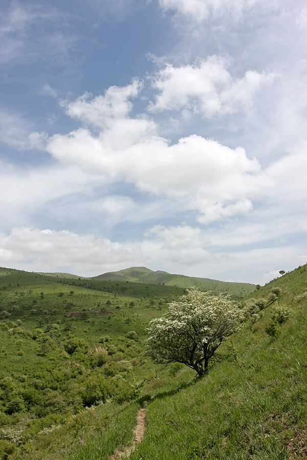 Горы Кокбулак, изображение ландшафта.