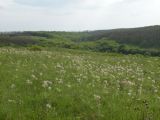 Верховья реки Самоткань, image of landscape/habitat.