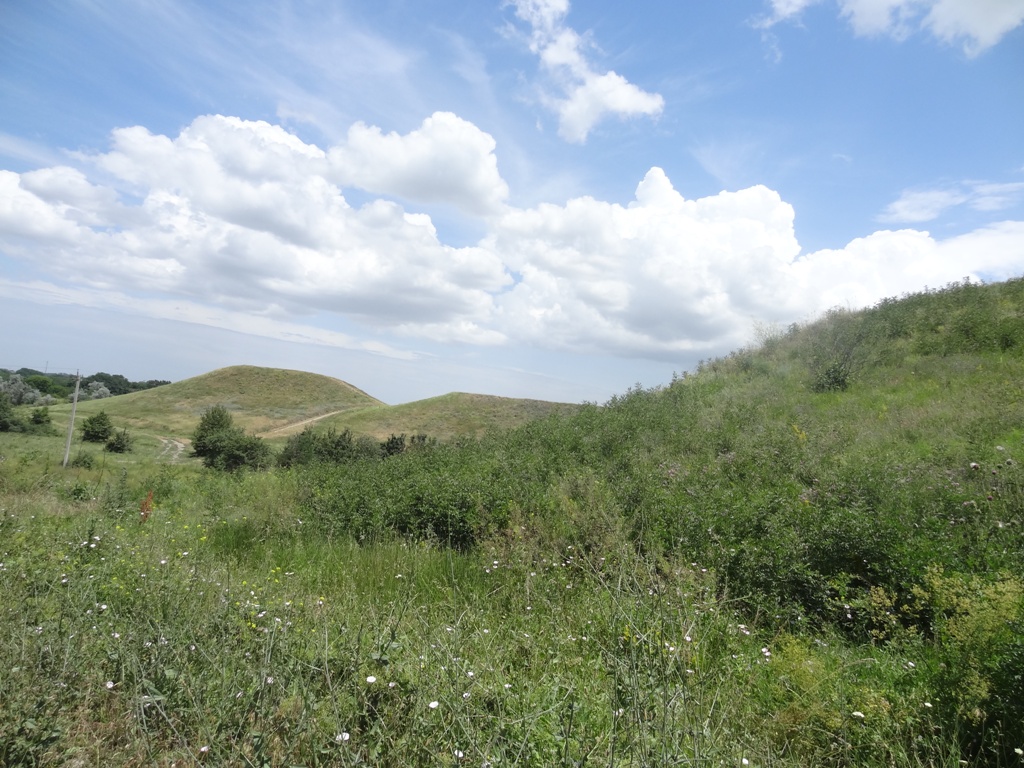 Курская, изображение ландшафта.