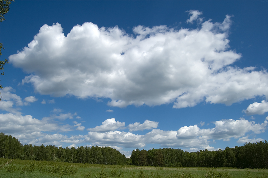 Мошковский район, image of landscape/habitat.