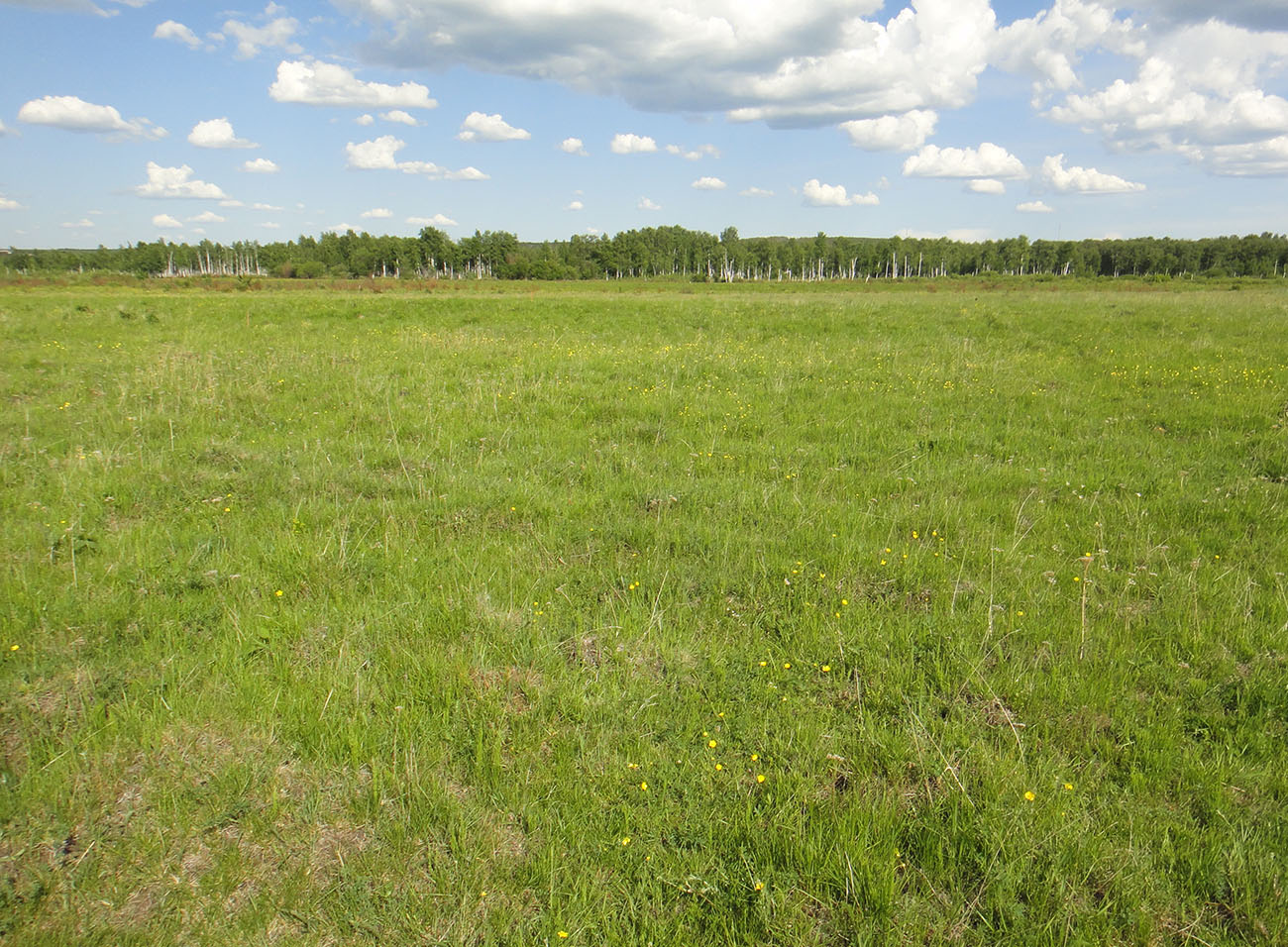 Позднякова, image of landscape/habitat.