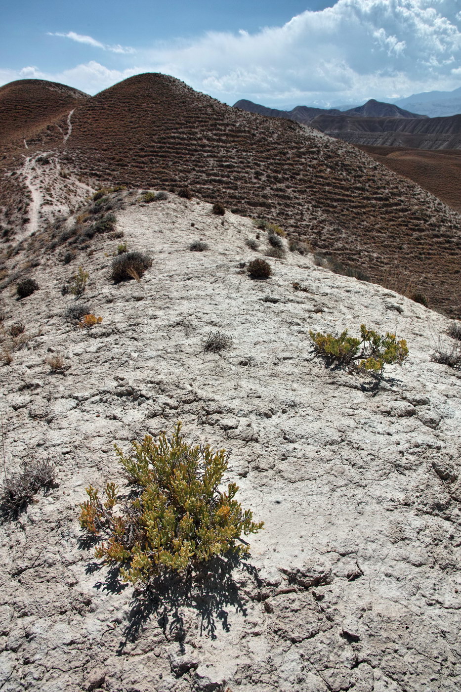 Бурулю, image of landscape/habitat.