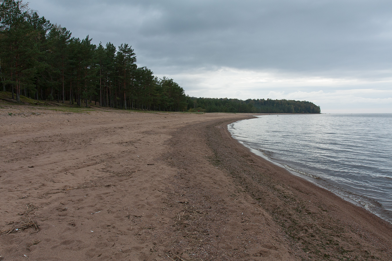 Лебяжье, image of landscape/habitat.