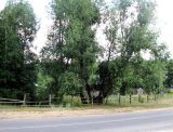 Image of landscape