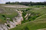 Дивногорье, image of landscape/habitat.