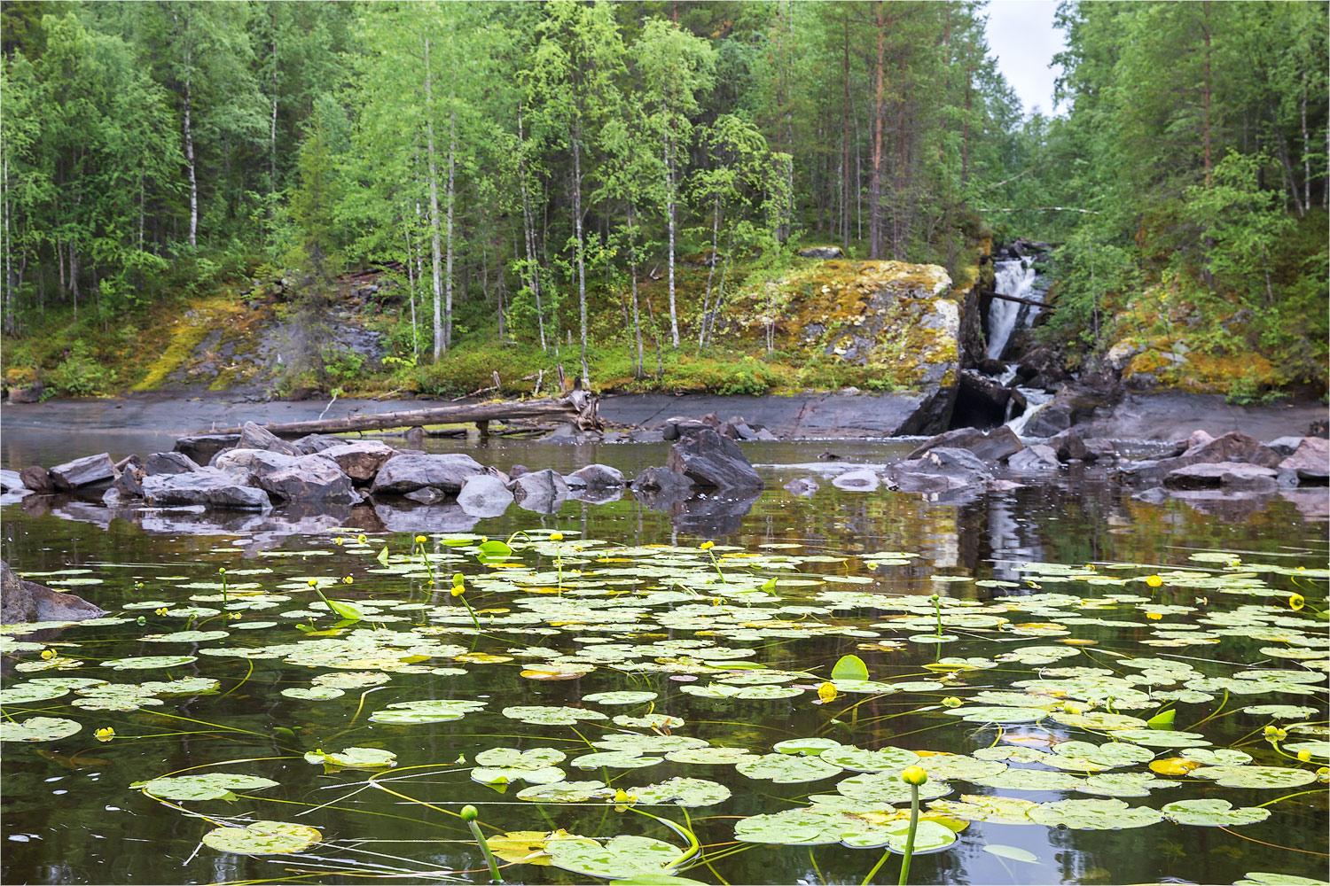 Нотозеро, изображение ландшафта.
