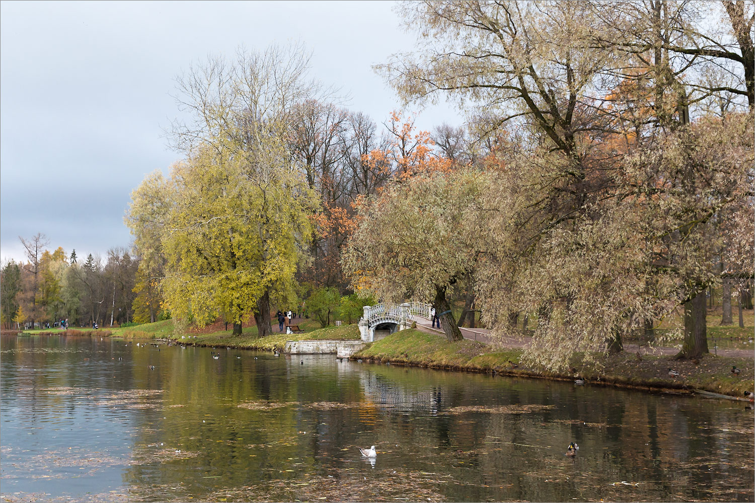 Гатчинские парки, image of landscape/habitat.