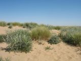Image of landscape