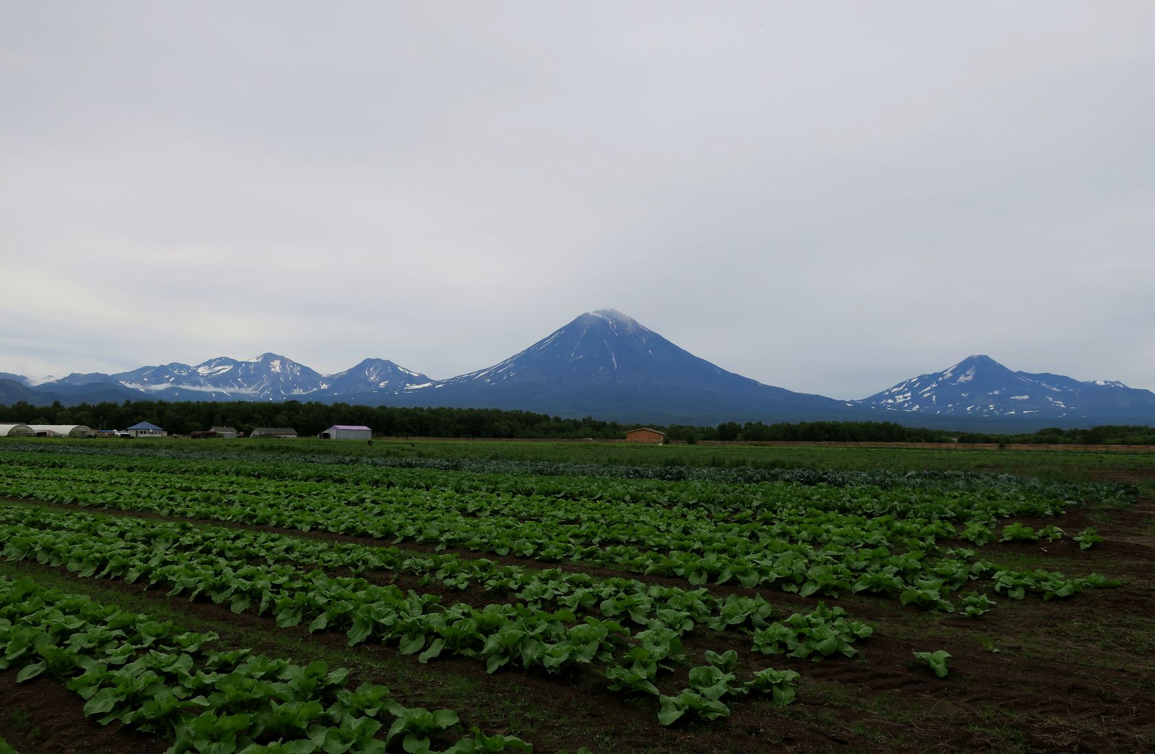 Мечта, image of landscape/habitat.