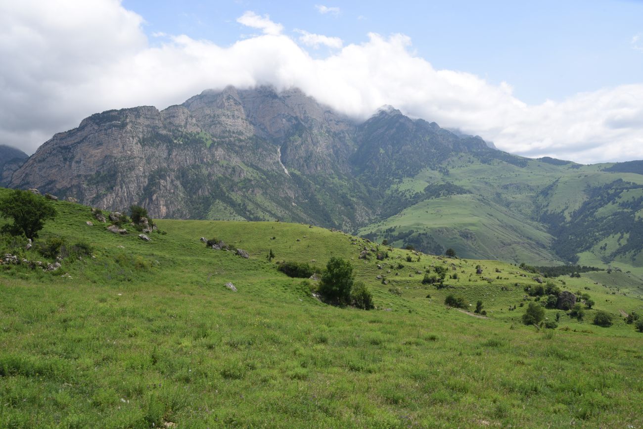 Бархане и окрестности, изображение ландшафта.