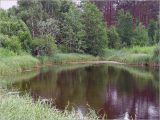 Image of landscape