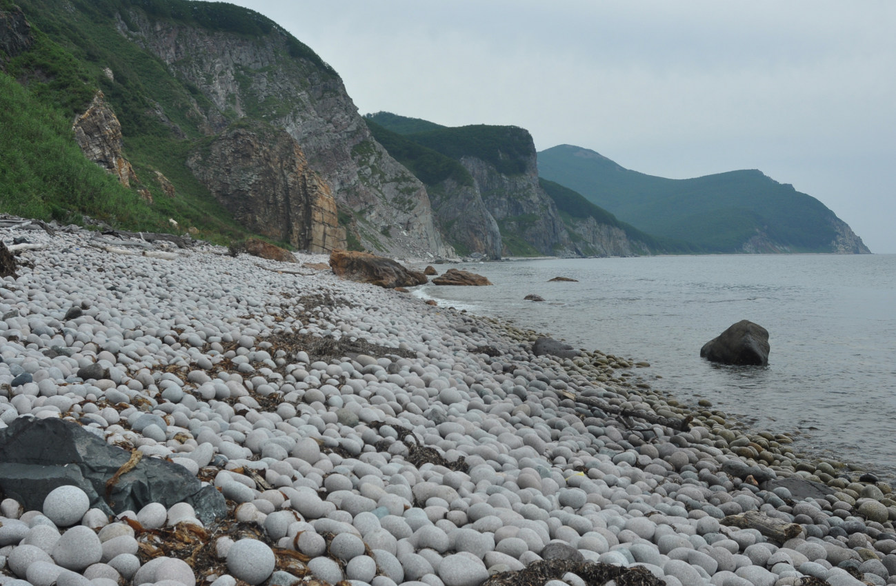 Гора Абрек, image of landscape/habitat.