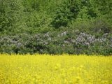 Верховья реки Самоткань, image of landscape/habitat.