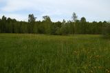 Image of landscape