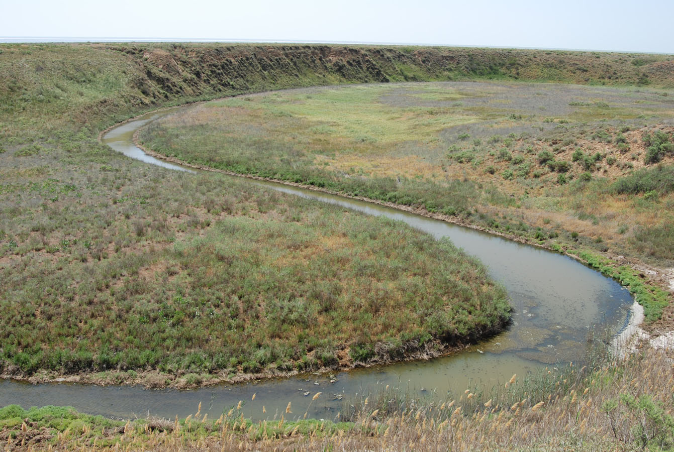 Побережье озера Эльтон, image of landscape/habitat.