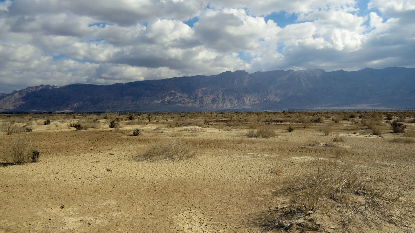 Солончак Мелихат-Йотвата, image of landscape/habitat.