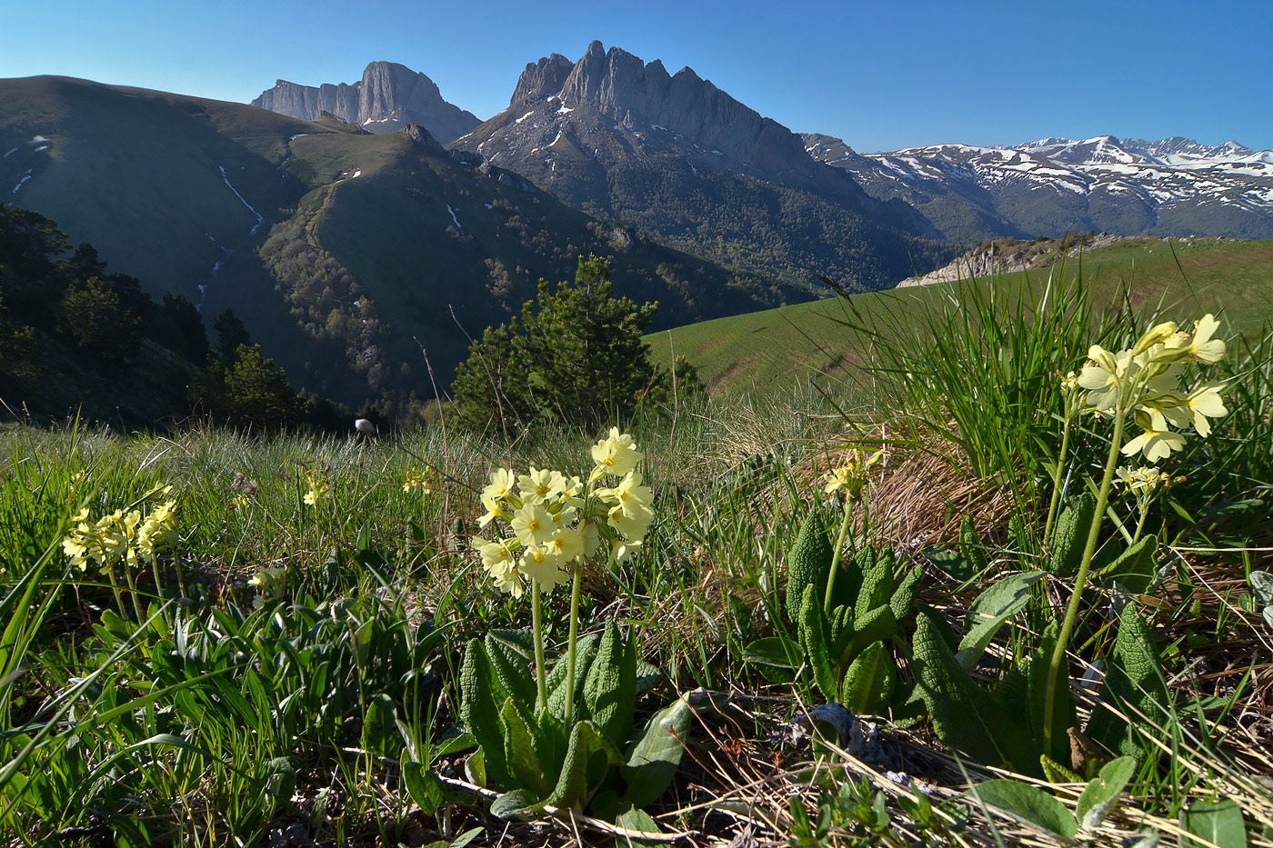 Гора Асбестная, image of landscape/habitat.