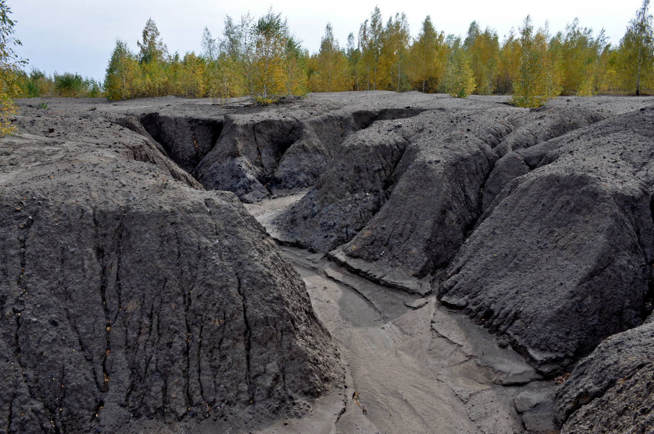 Романцевские горы, image of landscape/habitat.