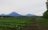 Мечта, image of landscape/habitat.