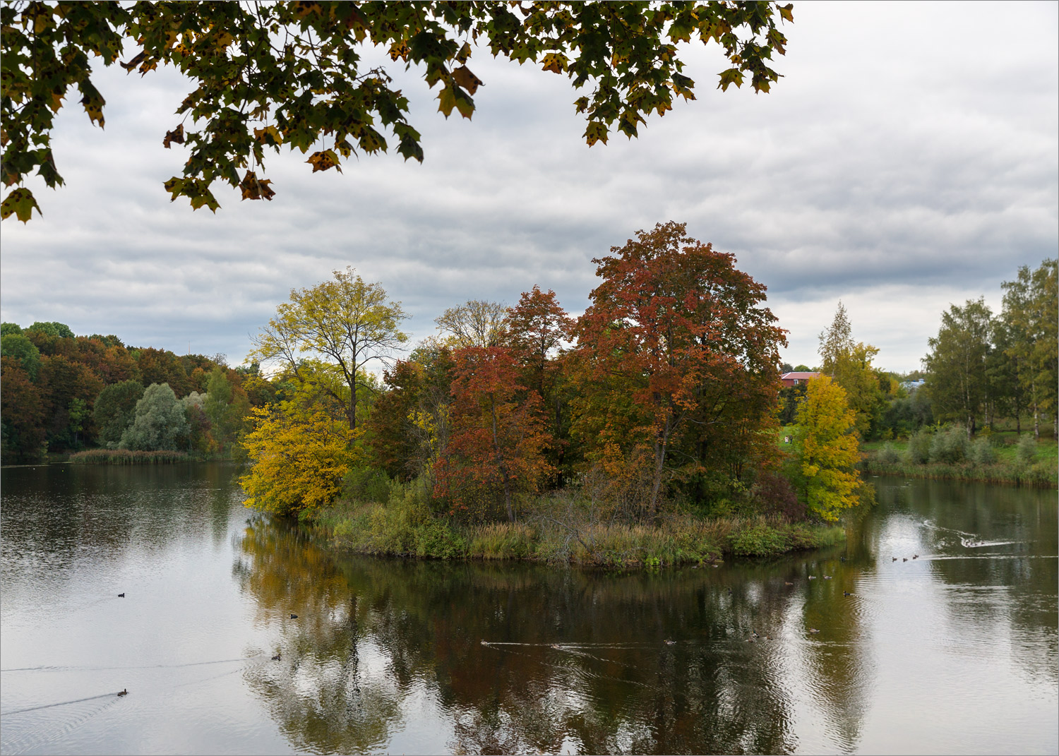 Гатчинские парки, image of landscape/habitat.