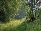Image of landscape