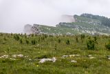 Image of landscape