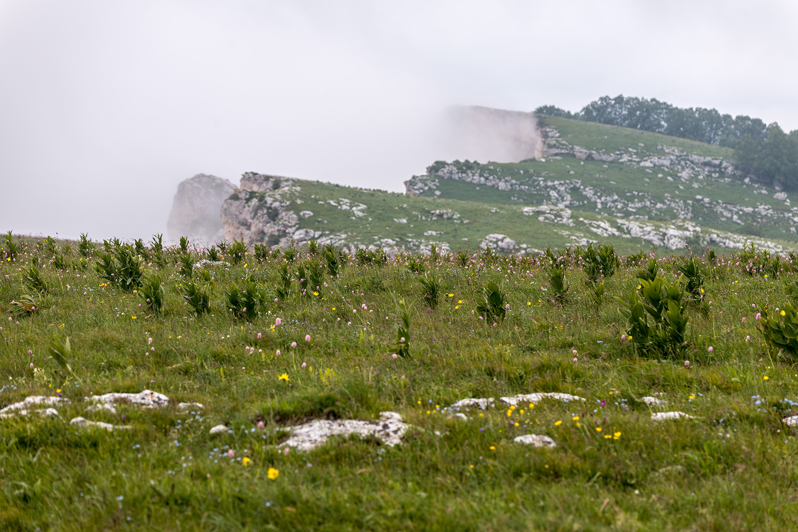 Баранаха, image of landscape/habitat.