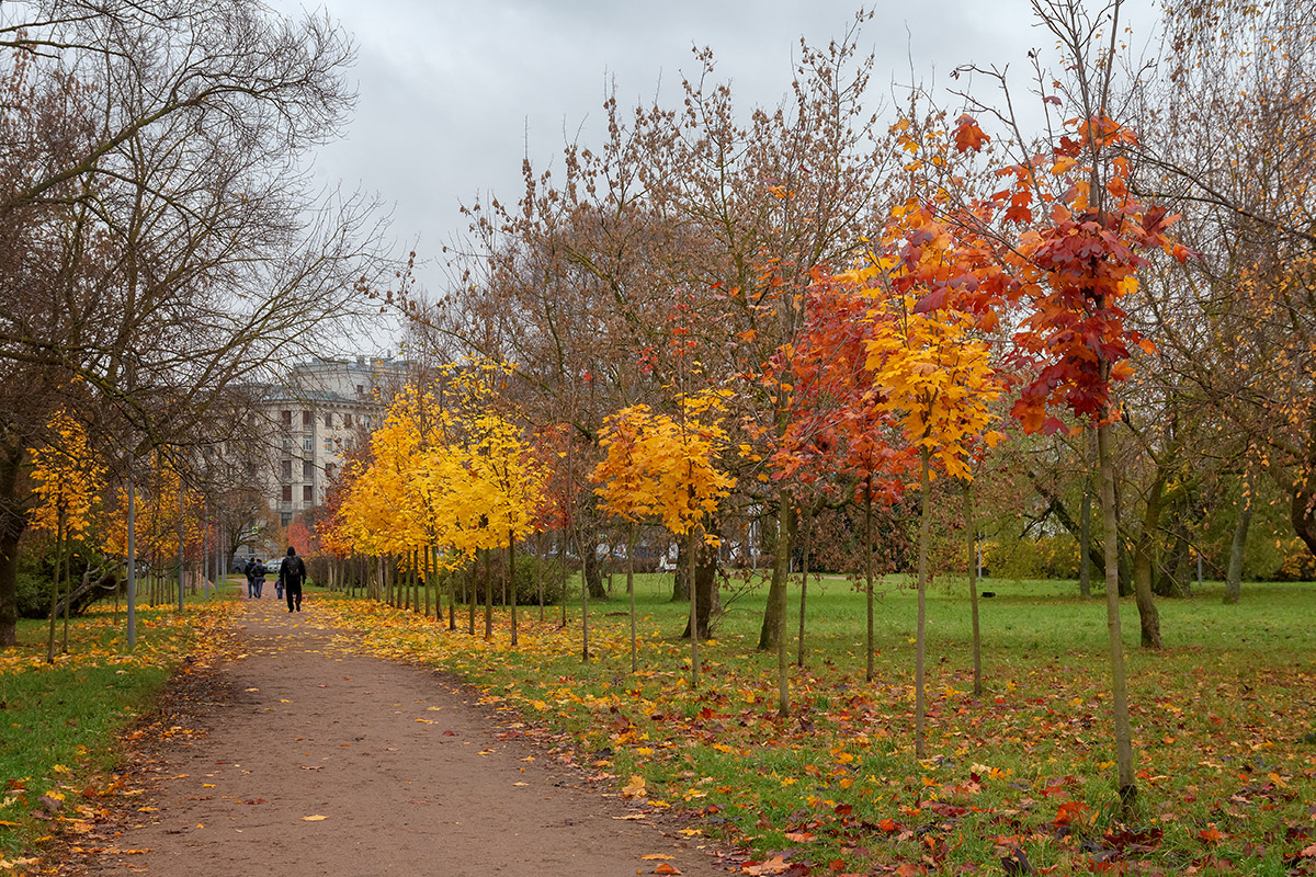 Московский район, image of landscape/habitat.