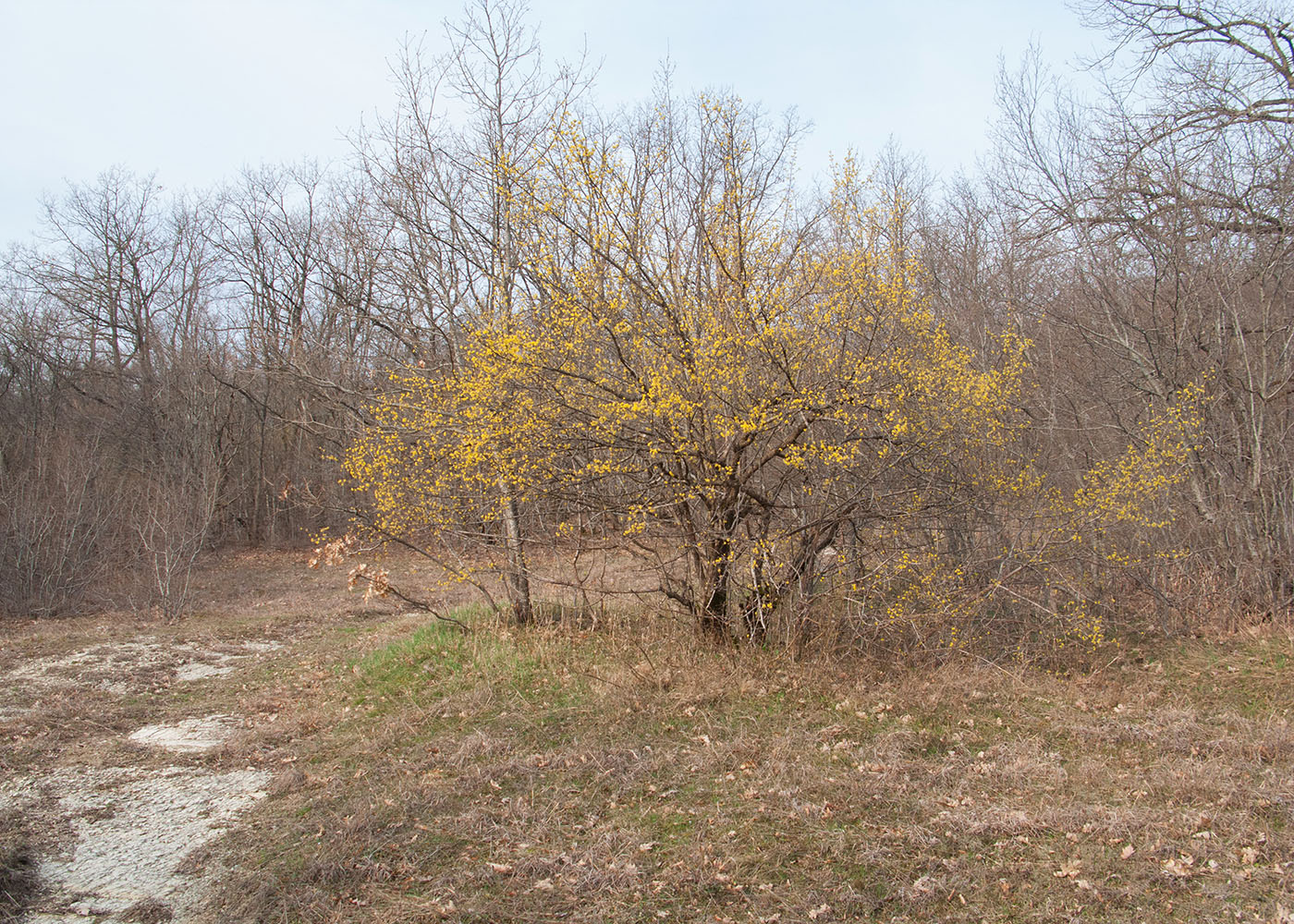 Глубокий Яр, image of landscape/habitat.