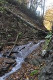 Image of landscape